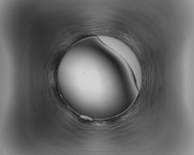 X0000116270317200912071047