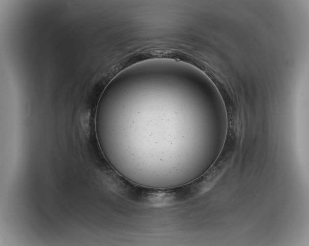 X0000116270319200912071047