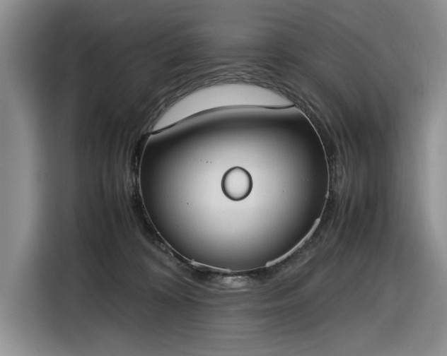 X0000116270324200912071047