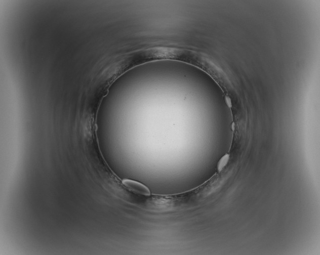 X0000116270325200912071047