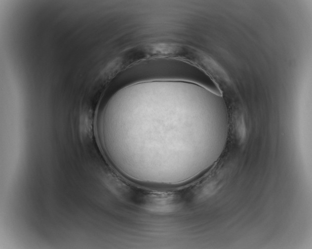 X0000116270328200912071047