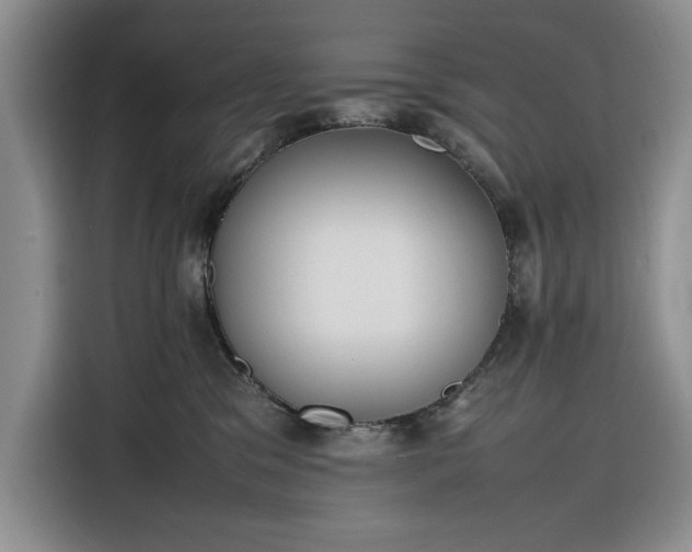 X0000116270329200912071047