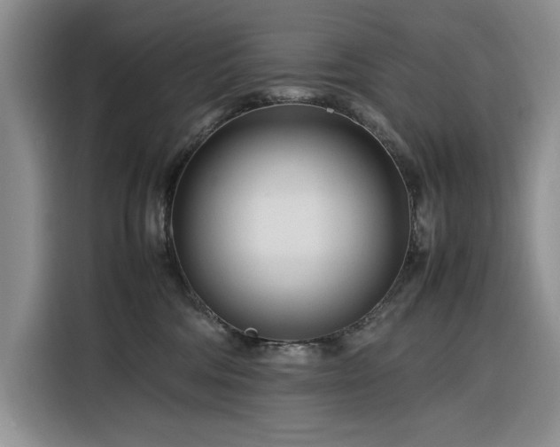 X0000116270330200912071047