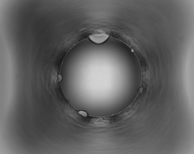X0000116270331200912071047