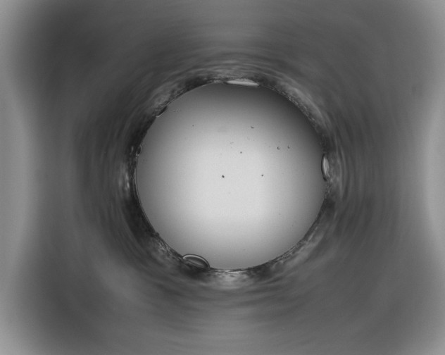 X0000116270333200912071047