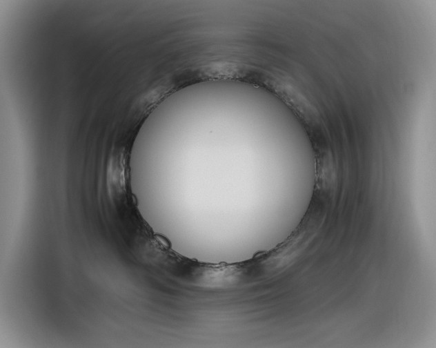 X0000116270334200912071047