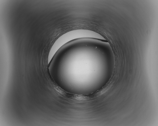 X0000116270336200912071047