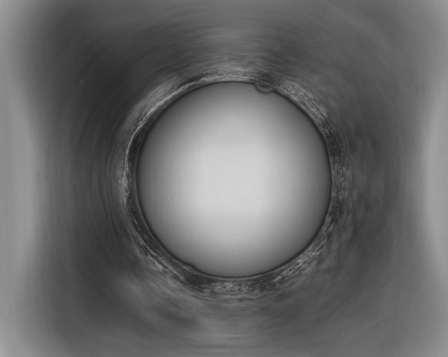 X0000116270338200912071047