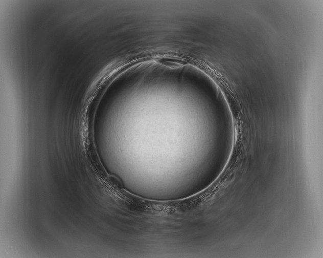 X0000116270339200912071047