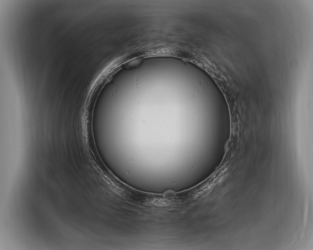 X0000116270341200912071047