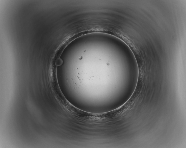 X0000116270347200912071047
