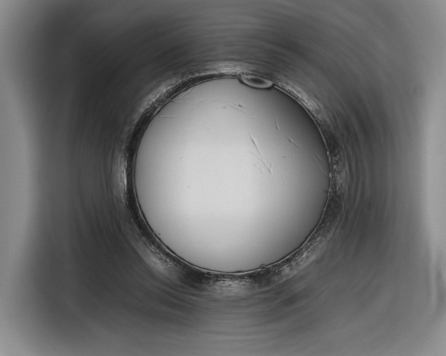 X0000116270350200912071047