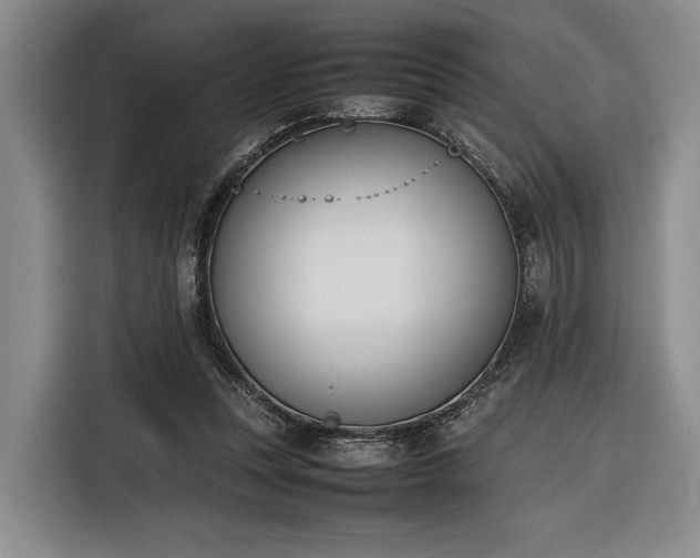 X0000116270351200912071047