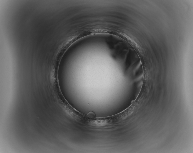 X0000116270353200912071047