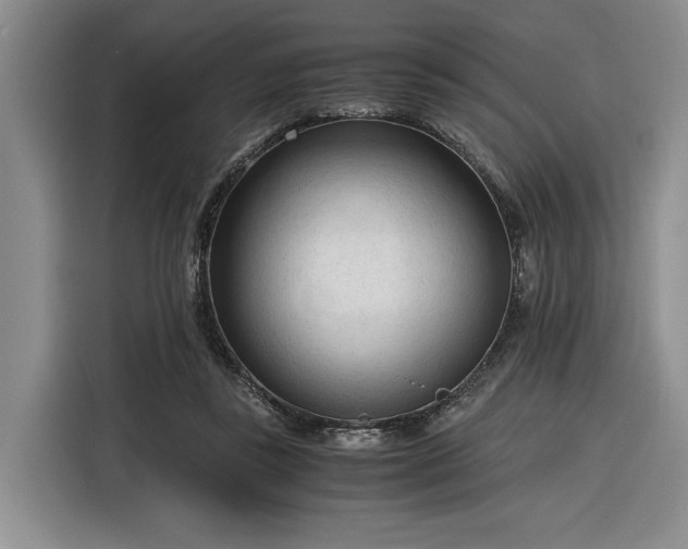 X0000116270355200912071047