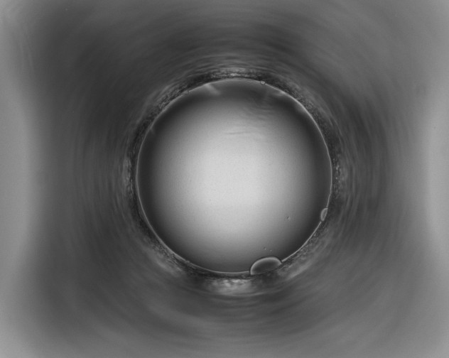 X0000116270361200912071047