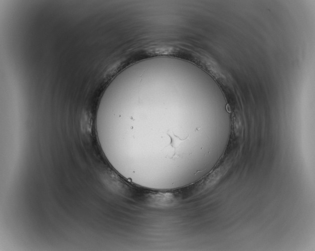 X0000116270374200912071047