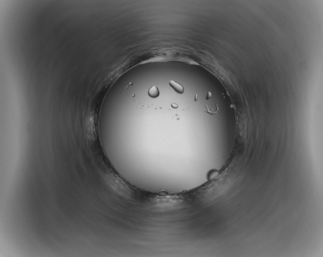 X0000116270378200912071047