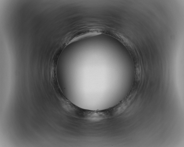 X0000116270379200912071047