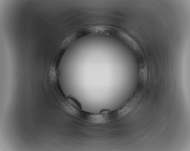 X0000116270381200912071047