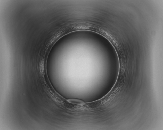 X0000116270386200912071046