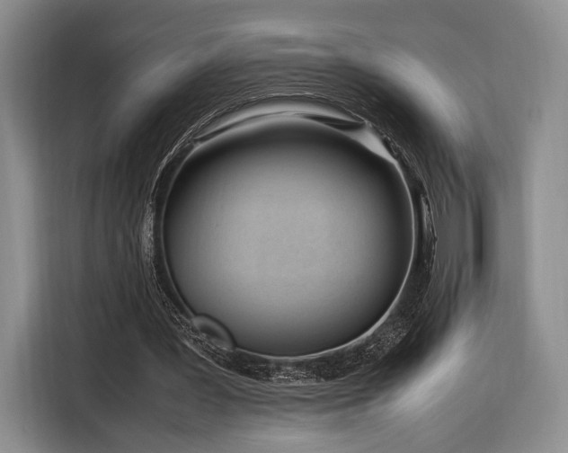 X0000116270387200912071046