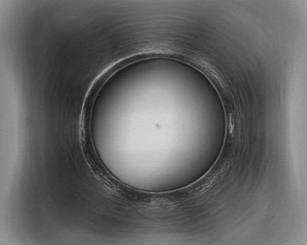 X0000116270388200912071046