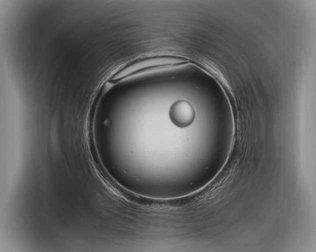 X0000116270389200912071046