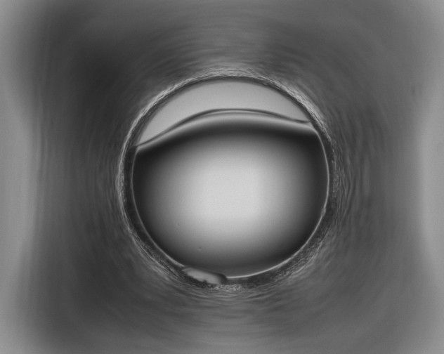 X0000116270391200912071046