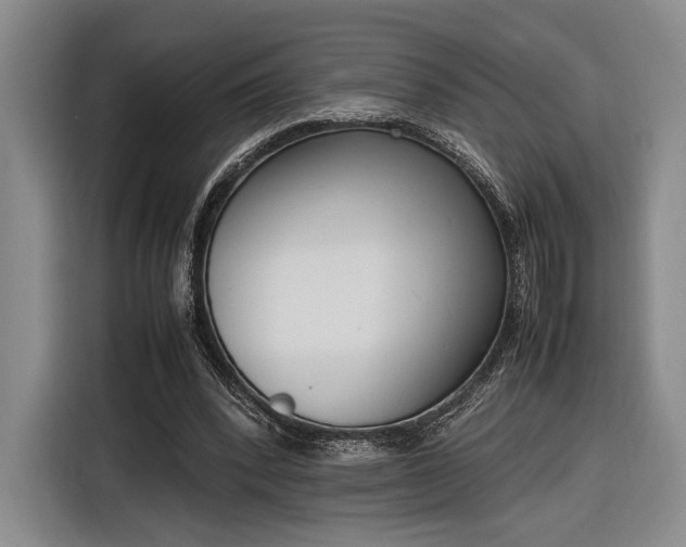 X0000116270392200912071046