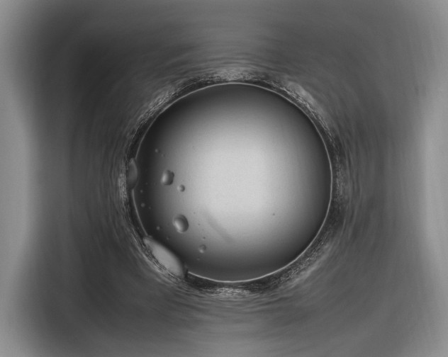 X0000116270393200912071046