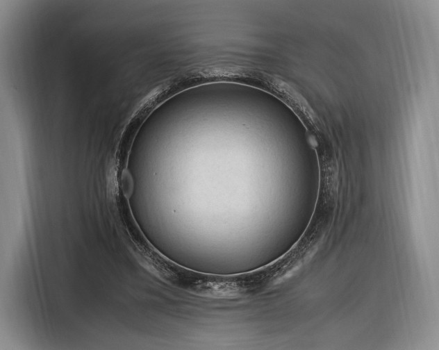 X0000116270395200912071046