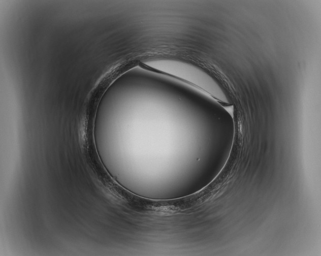 X0000116270396200912071046