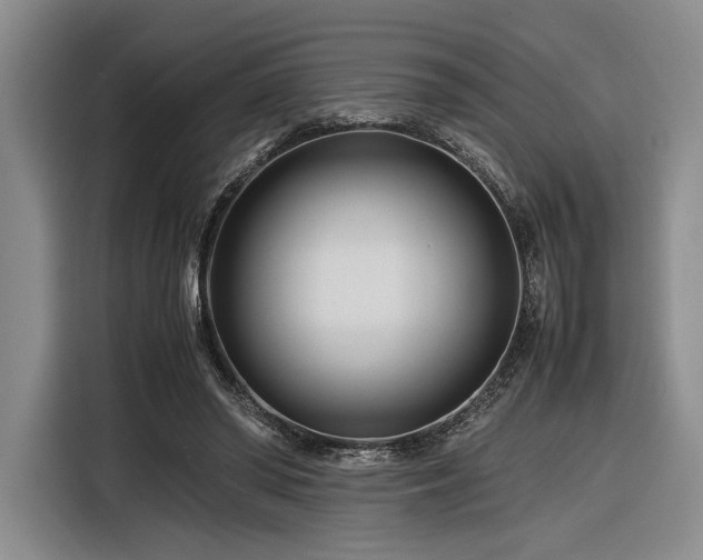 X0000116270398200912071046