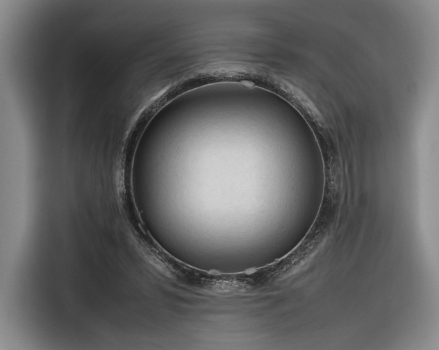 X0000116270399200912071046