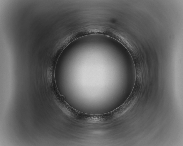 X0000116270402200912071046