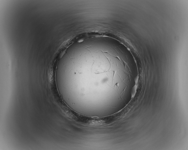 X0000116270403200912071046