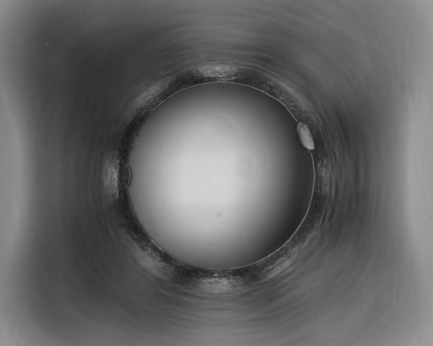 X0000116270404200912071046