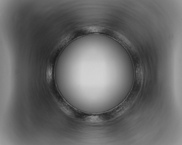 X0000116270406200912071046