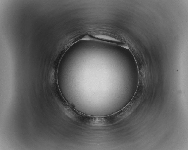 X0000116270410200912071046