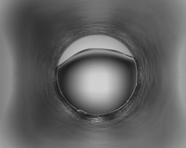 X0000116270411200912071046