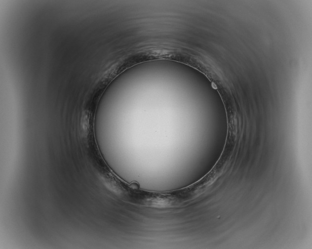 X0000116270412200912071046