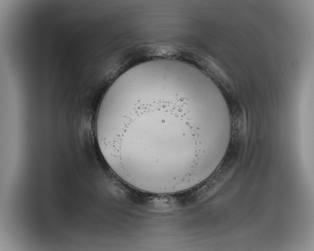 X0000116270415200912071046