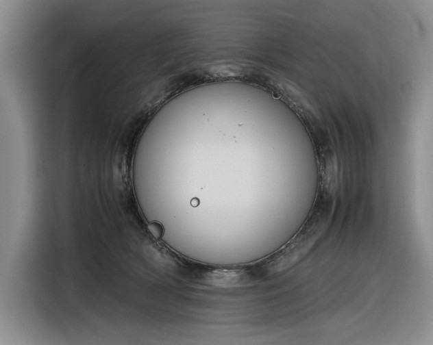 X0000116270418200912071046