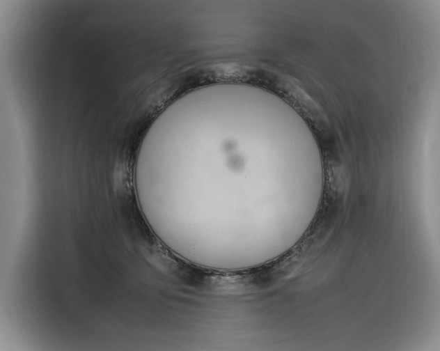 X0000116270419200912071046
