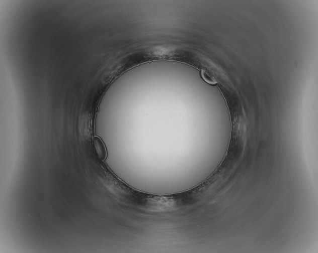 X0000116270421200912071046