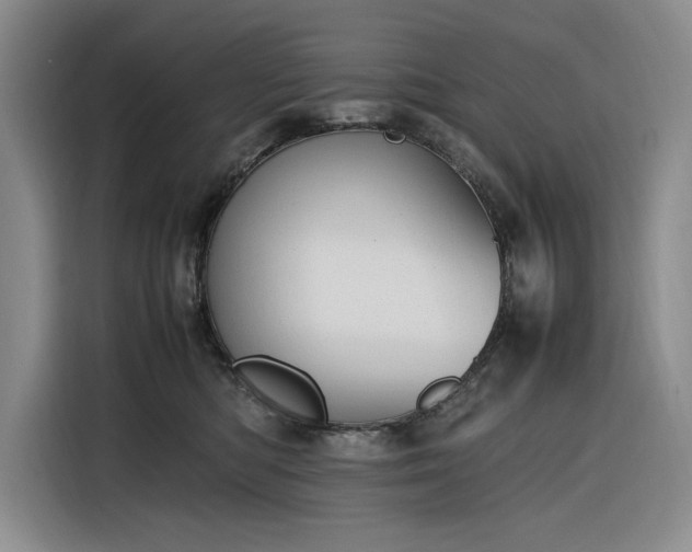 X0000116270422200912071046