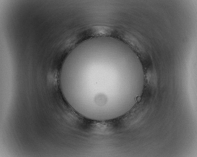 X0000116270423200912071046
