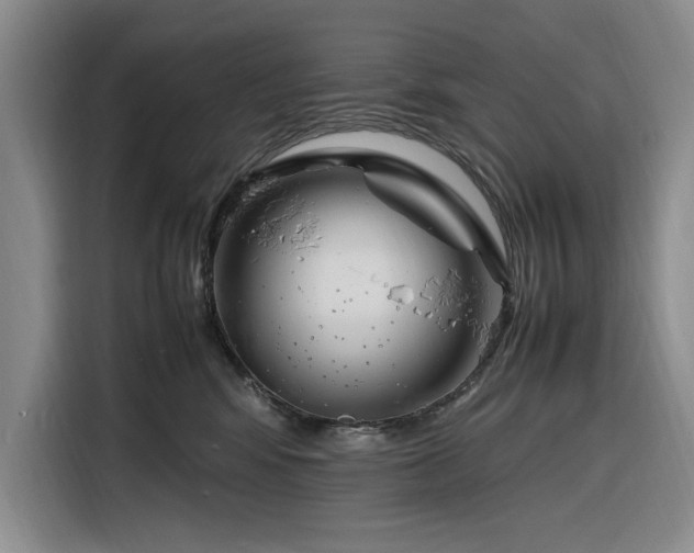 X0000116270424200912071046