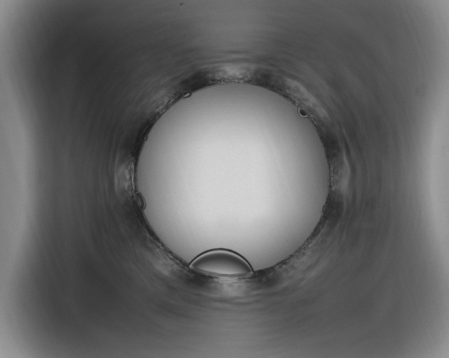 X0000116270425200912071046